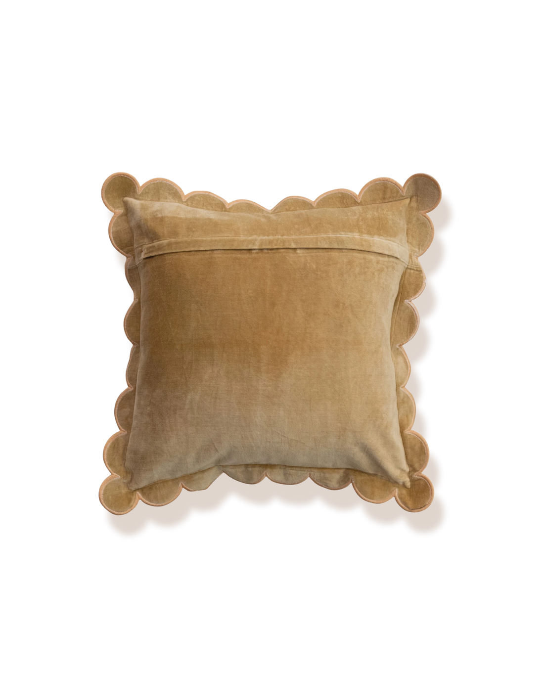The Velvet Scallop