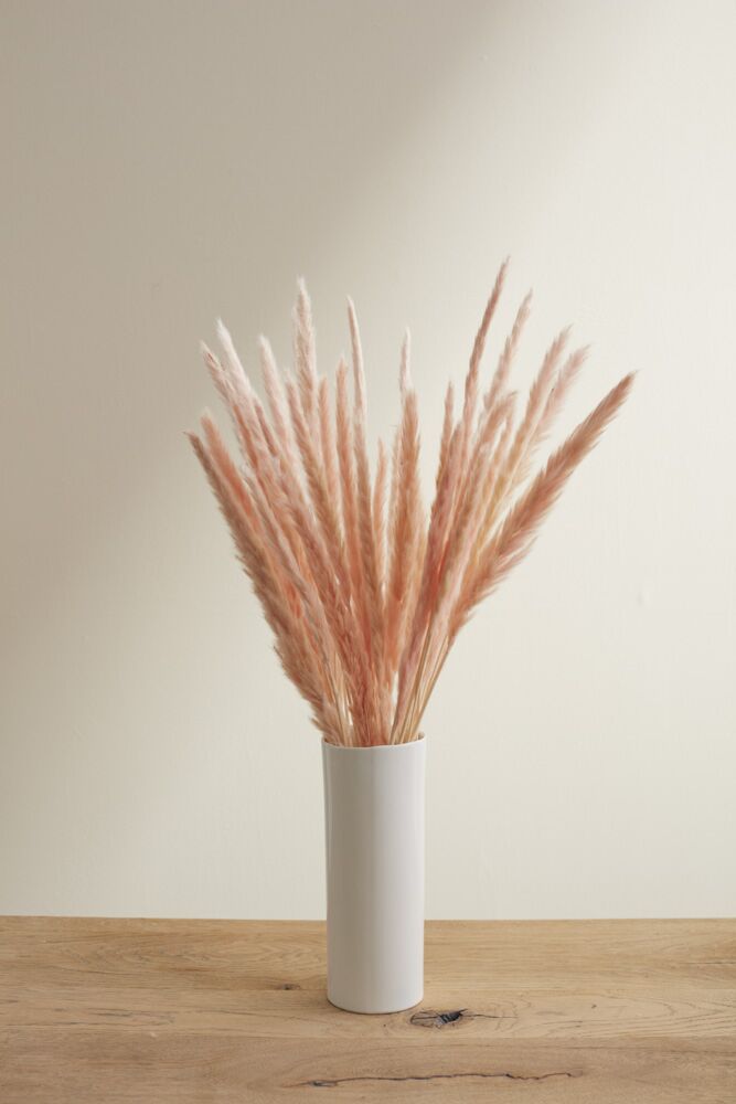 Slim Dried Pampas Grass (Set of 6)