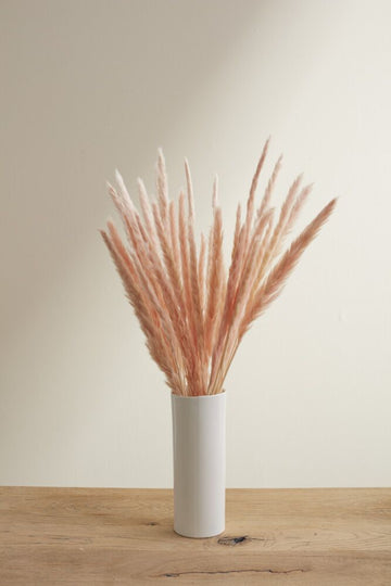 Slim Dried Pampas Grass (Set of 6)